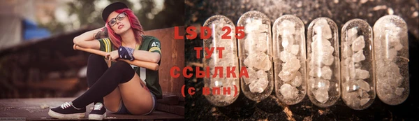 МДПВ Липки