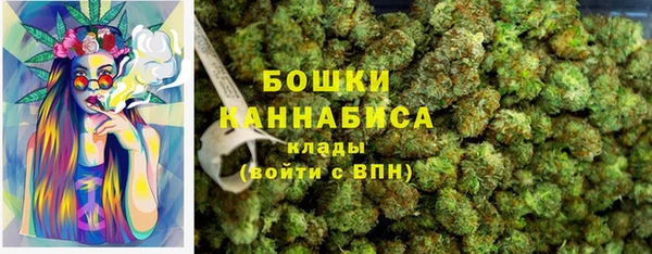 МДПВ Липки