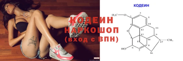МДПВ Липки