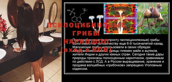 МДПВ Липки
